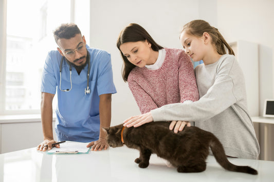 Emergency Symptoms Assessment Session